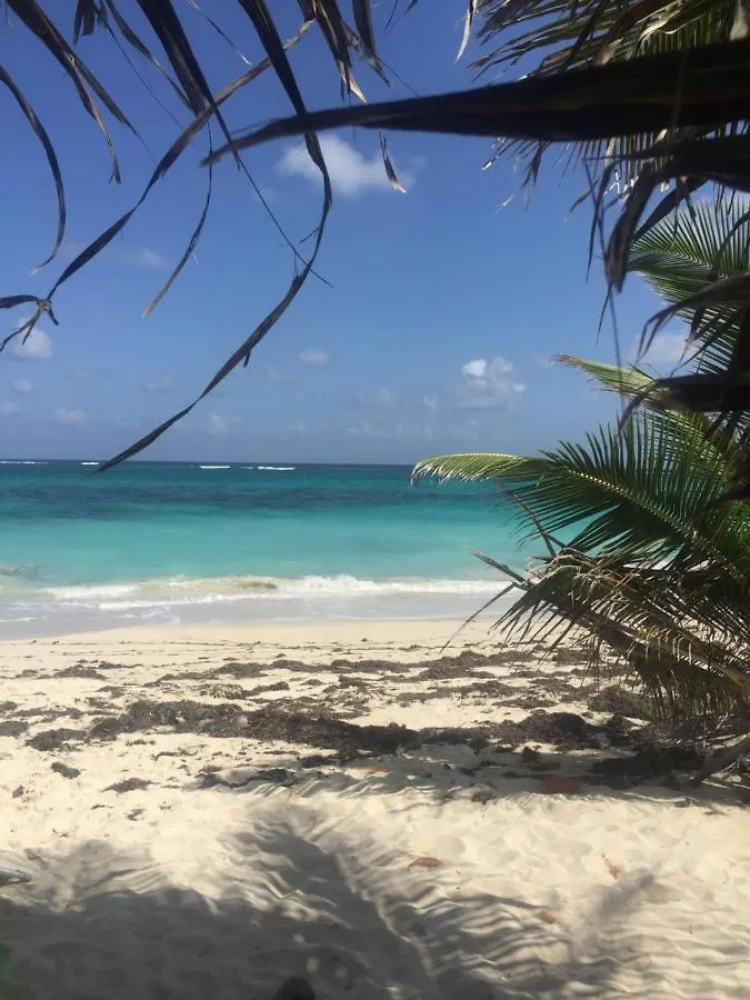 Studio Colibri Sainte-Anne 0*,  Martinique
